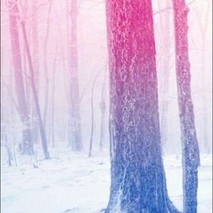 Meet your Posher, Zandra